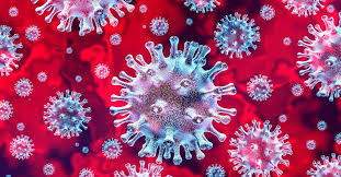 Covid-19, dopo la malattia siamo protetti contro il virus? - Il ...